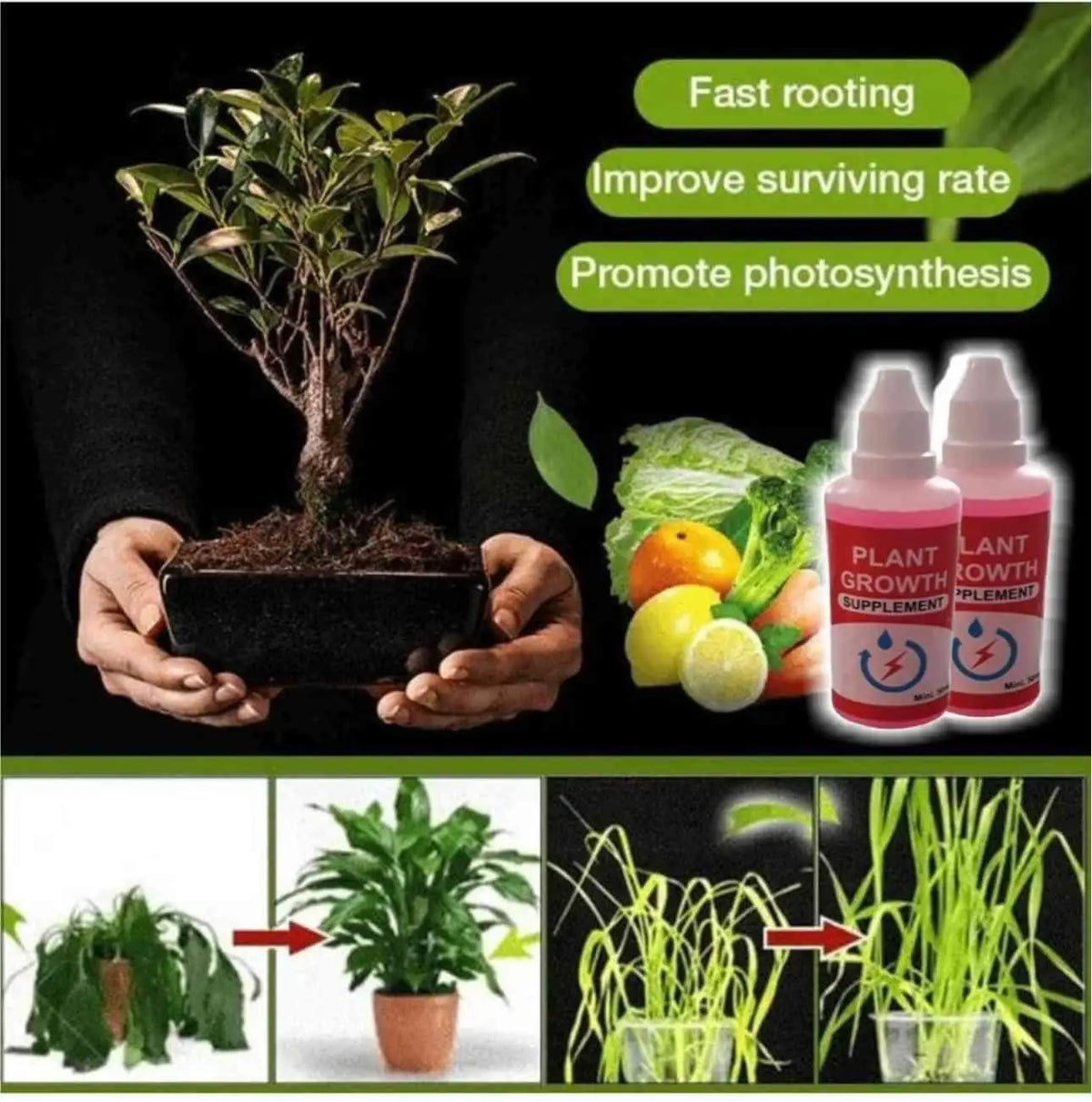 Combo of Plant Grow Fertilizer Sticks For Plants - 25 Stick Pack of 2 & Plant Growth Enhancer Supplement - CL-RO-609